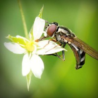 /album/www-simbiola-com/photolia-a02-jpg/