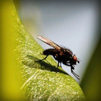 /album/www-simbiola-com/photolia-a04-jpg/