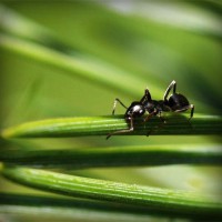 /album/www-simbiola-com/photolia-a05-jpg/