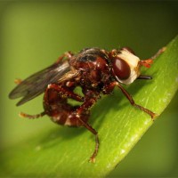 /album/www-simbiola-com/photolia-a06-jpg/