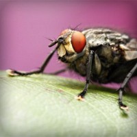 /album/www-simbiola-com/photolia-a08-jpg/